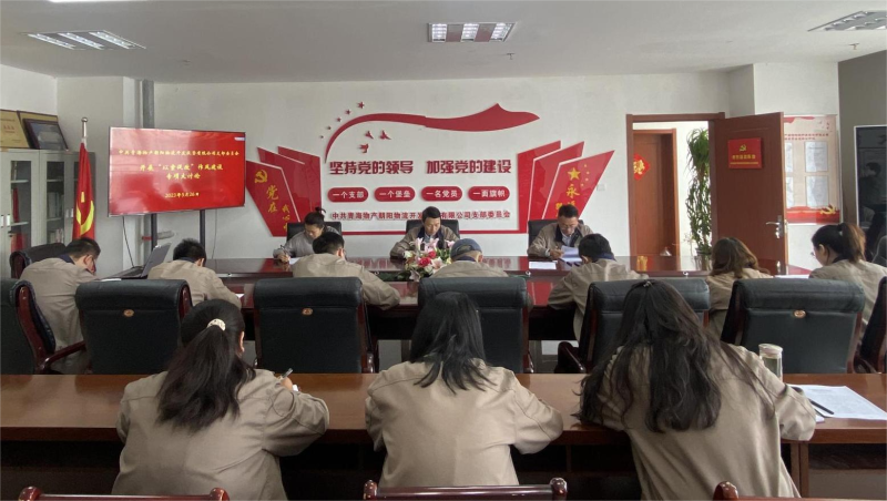 以案促改轉(zhuǎn)作風 堅守底線樹新風   &mdash;&mdash;青海物產(chǎn)朝陽物流開發(fā)投資有限公司支部委員會開展&ldquo;以案促改&rdquo;作風建設(shè)專項大討論