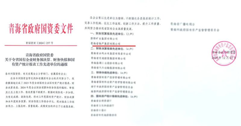 省物產(chǎn)集團(tuán)榮獲省國資委2024年度財務(wù)預(yù)算報表工作先進(jìn)單位