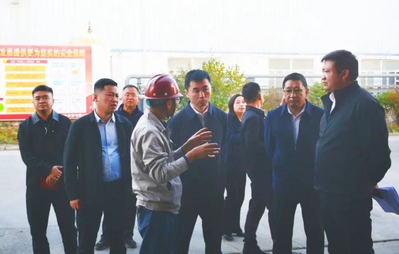 大通縣委副書記、縣長馬明旭一行蒞臨工投公司調(diào)研指導(dǎo)
